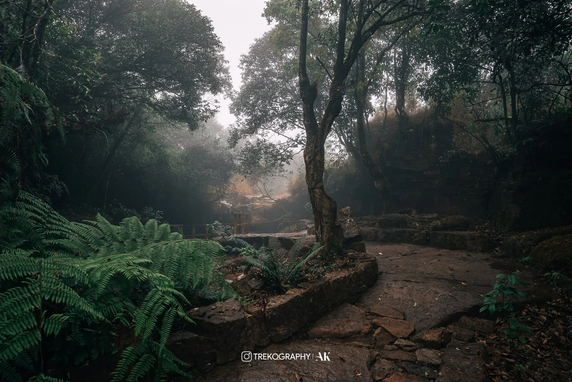 Garden of Caves
